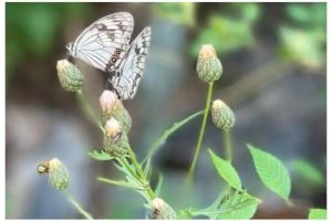 怕麻烦是记忆单词的最大障碍，高中英语必背3500单词-97我拆你看