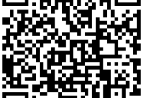 2024下半年教资笔试初中语文+高中语文知识点+导图汇编（pdf电子版）