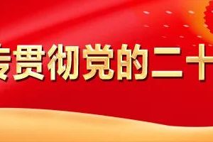 @2024级高一新生，高中语文学法指导请查收