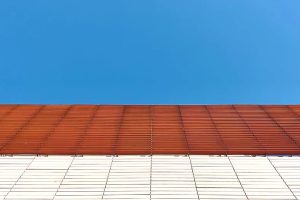 向下扎根，向上成长——高中数学实验教学说课备赛回顾！