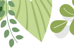 梁平区开展高中数学“深度教研”研讨会