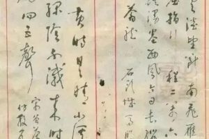 中学数学老师钢笔草书真严谨，笔走龙蛇，斩获首届钢笔书法特等奖