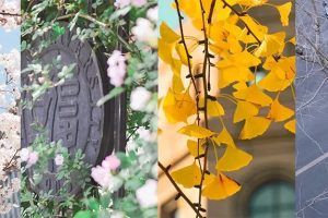 M0:普通高中教科书(数学)目录@人民教育出版社&上海教育出版社&北京师范大学出版社