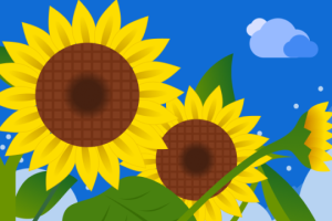 2024高三集训文化课机构哪个好 如何选择