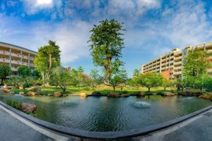 顺德区青云中学临聘高中语文教师三名